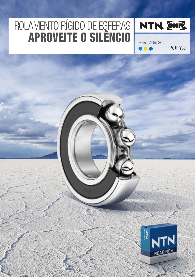 Capa Rolamentos Rígidos de Esferas