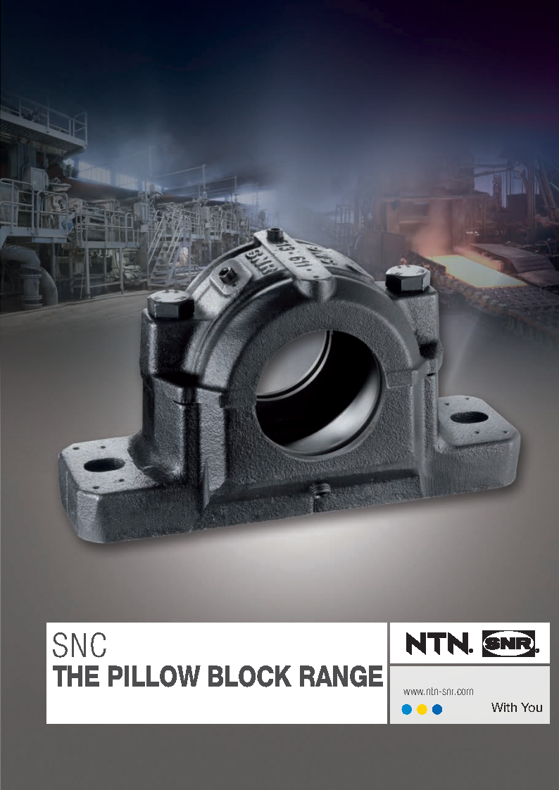 Capa Chumaceiras de Apoio SNC
